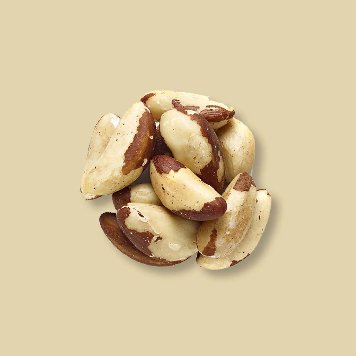 Organic Brazil Nuts - Image 3