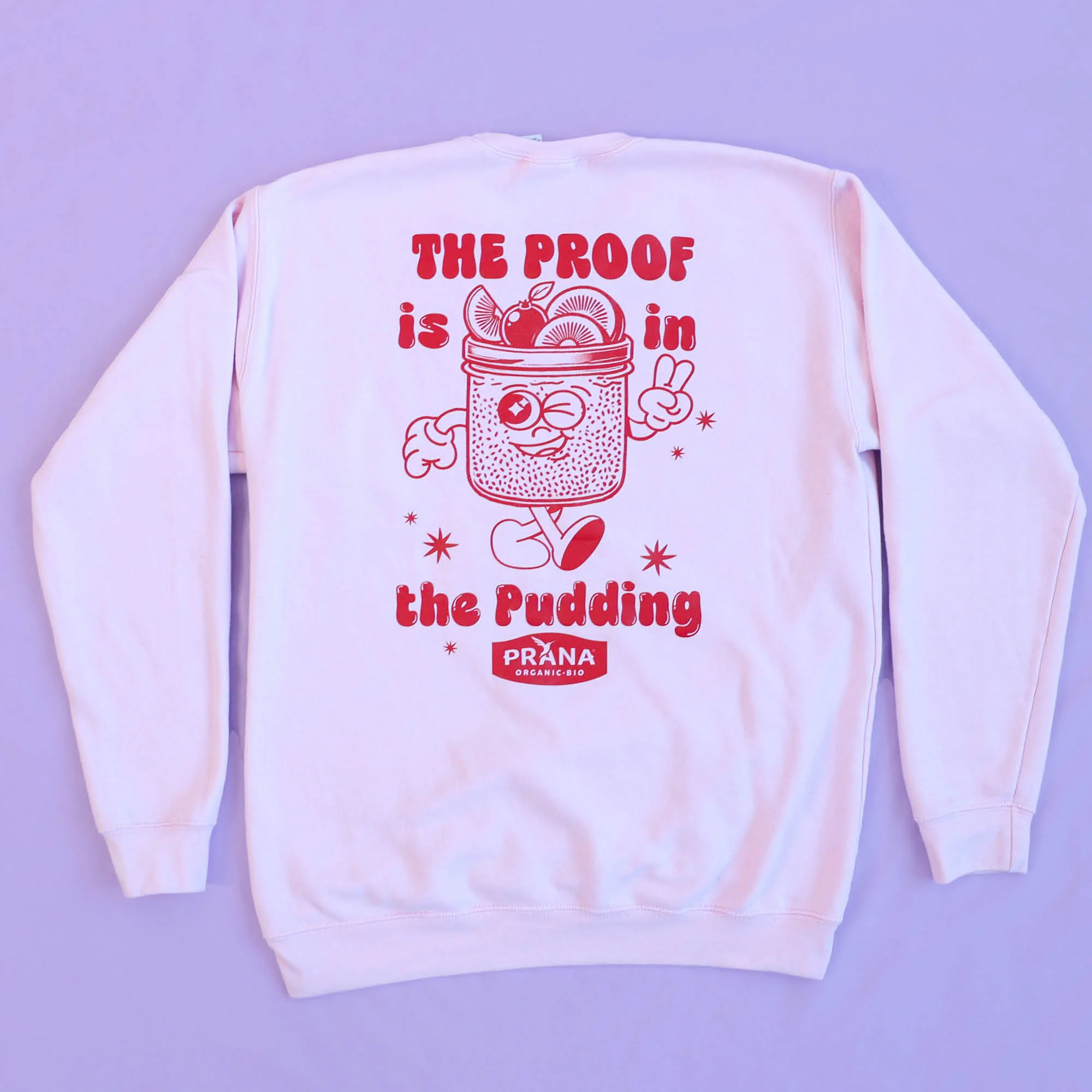 Pink Crew Neck Sweater β Overnight Chia - Image 3